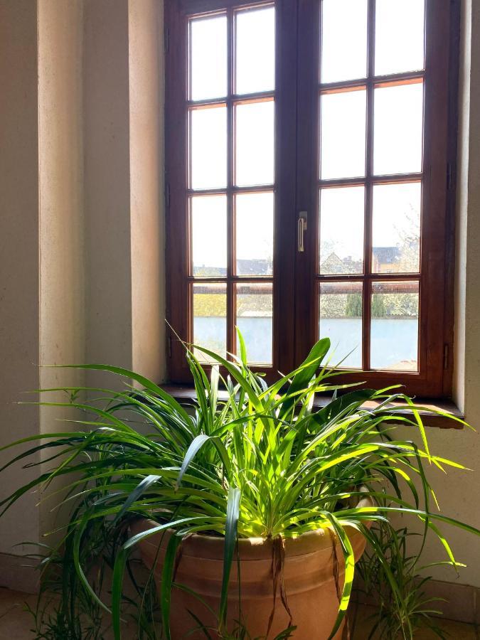Domaine Du Cellier De La Couronne Bed & Breakfast เซซาน ภายนอก รูปภาพ